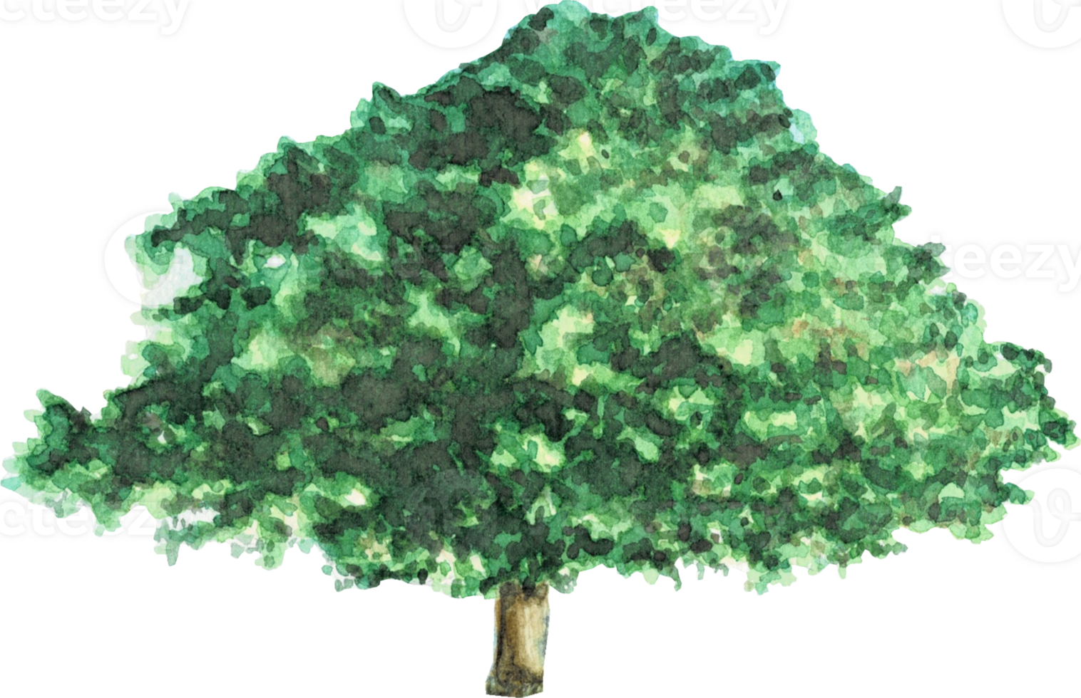 Big tree is painted by hands with watercolor in real fine art style png