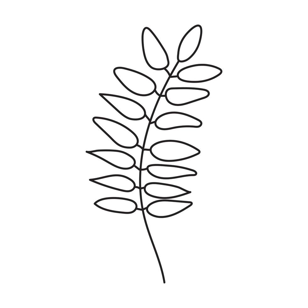 Simple Line Art Illustration of a Branch with Leaves.Rowan leaf. vector
