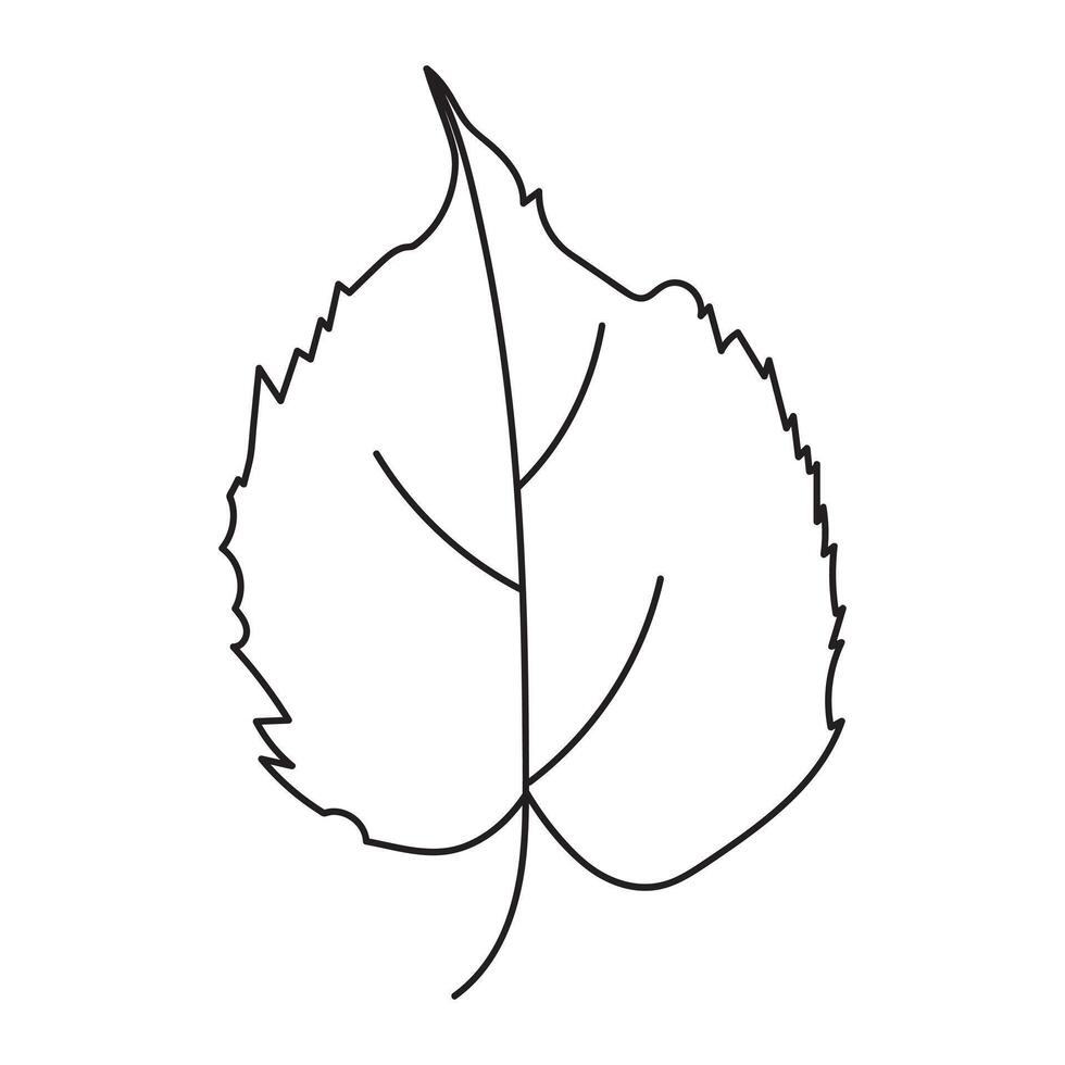 Outline of an Aspen Leaf. vector