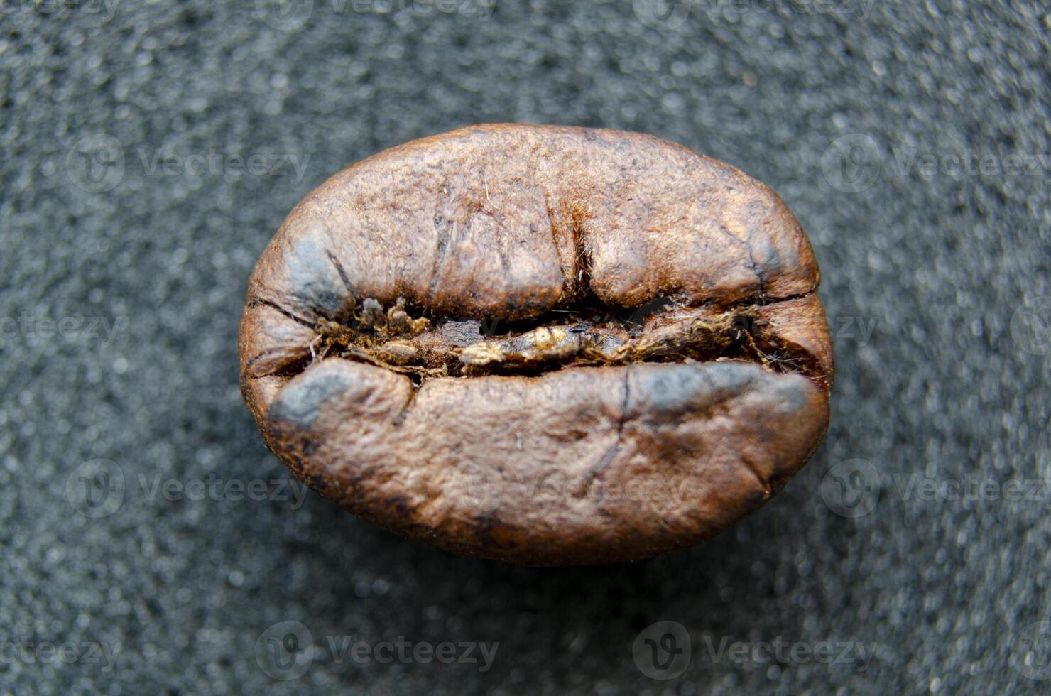 Horizontally resting coffee bean with a soft shine, emphasizing the roasted texture and form on a cool dark backdrop photo