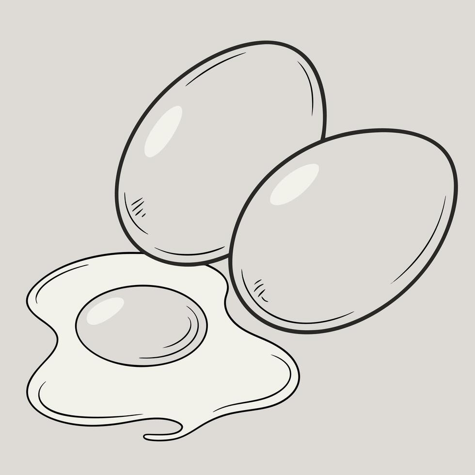 Drawing of eggs illustration with sunny side up egg and whole eggs art vector