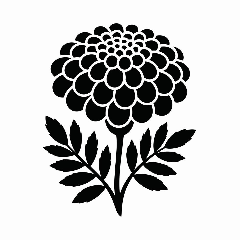 Black and white marigold flower illustration with leaves on white background vector