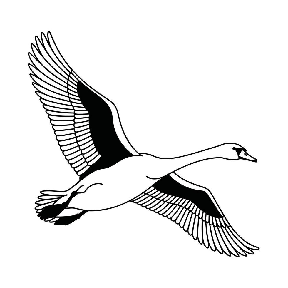 Black and White Illustration of a Flying Swan in Profile vector