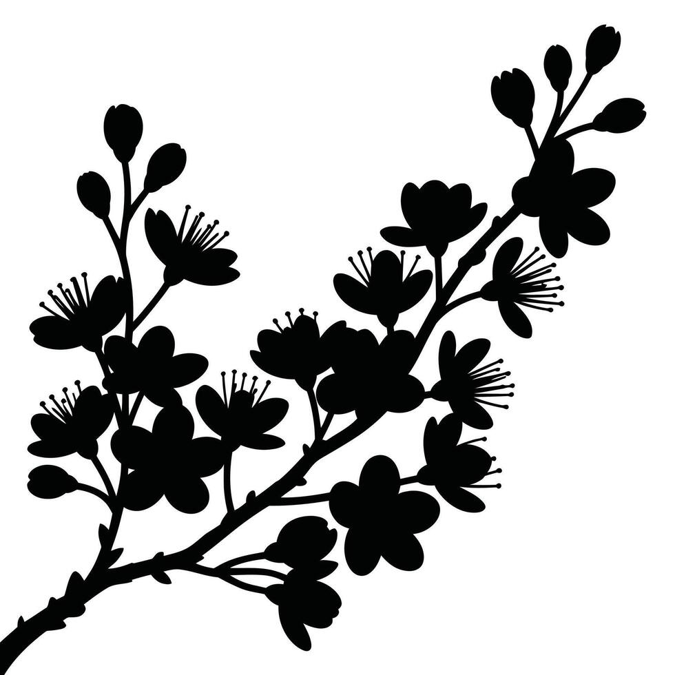 Black silhouette of cherry blossom branch with flowers and buds on white background vector