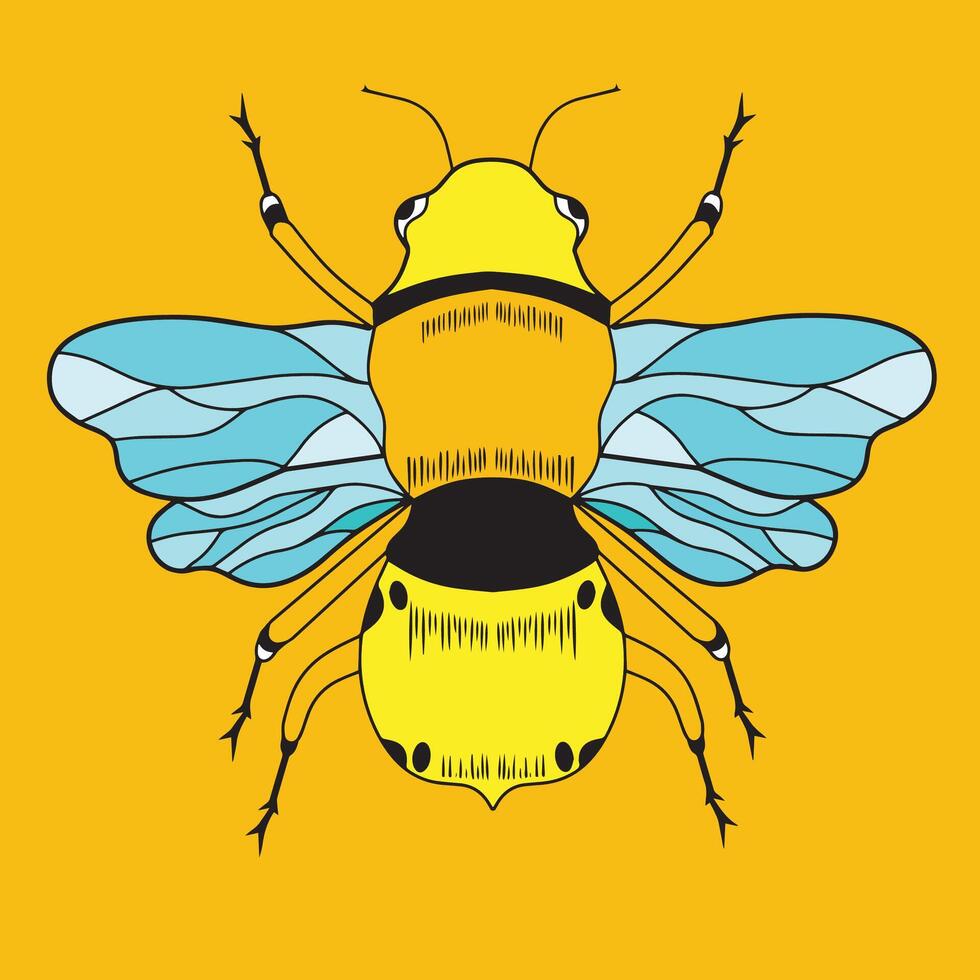 bee illustration drawn vector