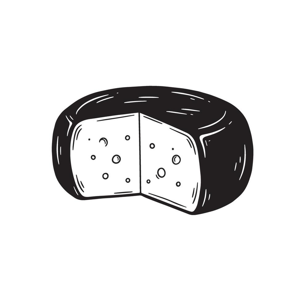 A delicious round of cheese with a slice removed depicted in a detailed vintage art silhouette perfect for various culinary projects vector