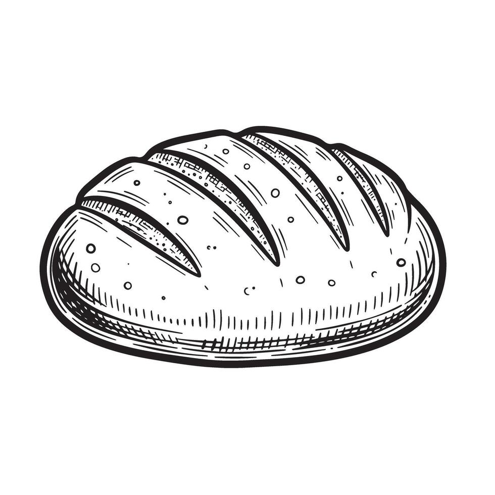 Artisan loaf of bread illustration in a classic vintage art silhouette featuring details for bakery food or culinary designs vector