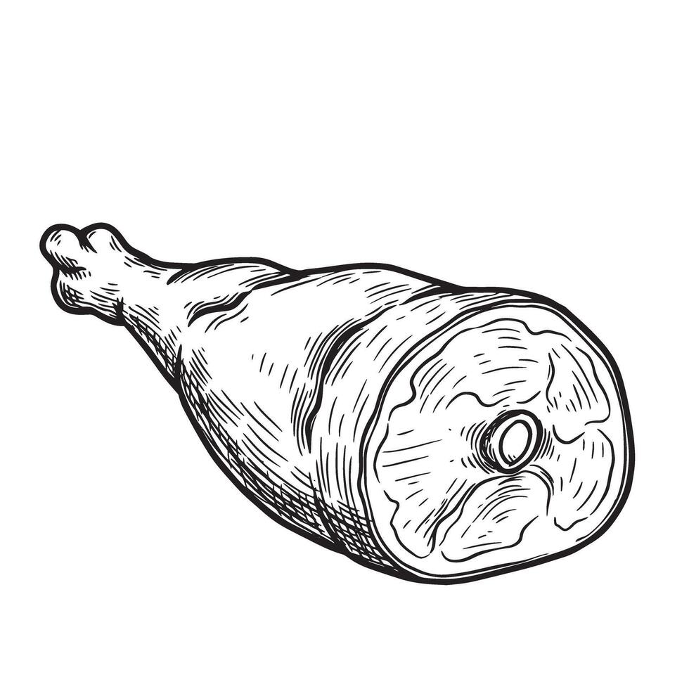 Detailed vintage art silhouette of a roasted ham leg depicting food and culinary themes isolated on a white background vector