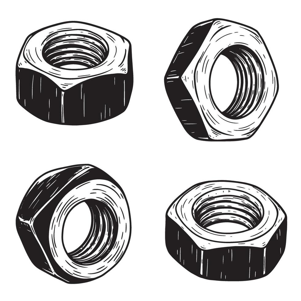 Detailed hand drawn illustration of various hex nuts in black and white vector