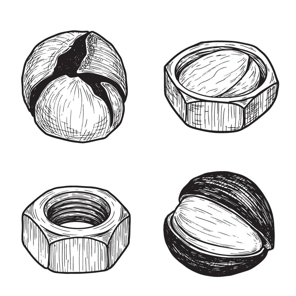 Detailed hand drawn engineering ornament set depicting nuts and bolts in black and white vector