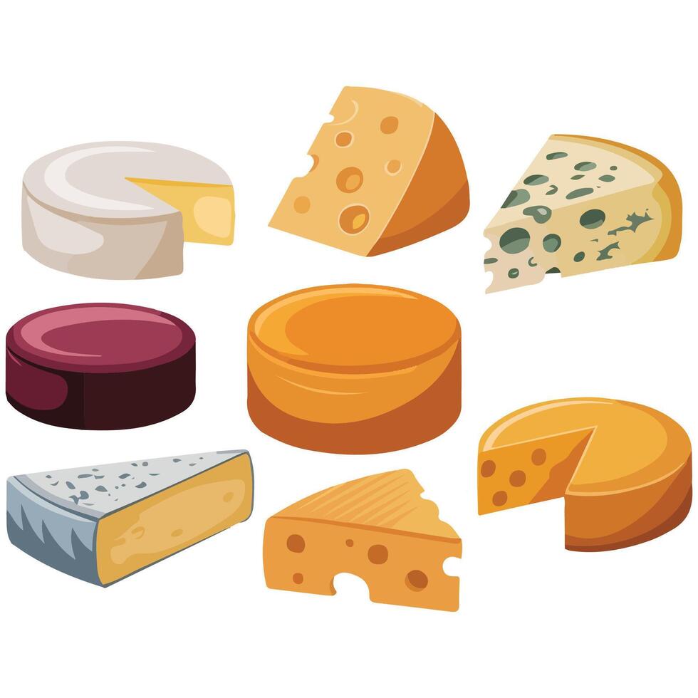 Cheese variety collection dairy illustration isolated on white vector