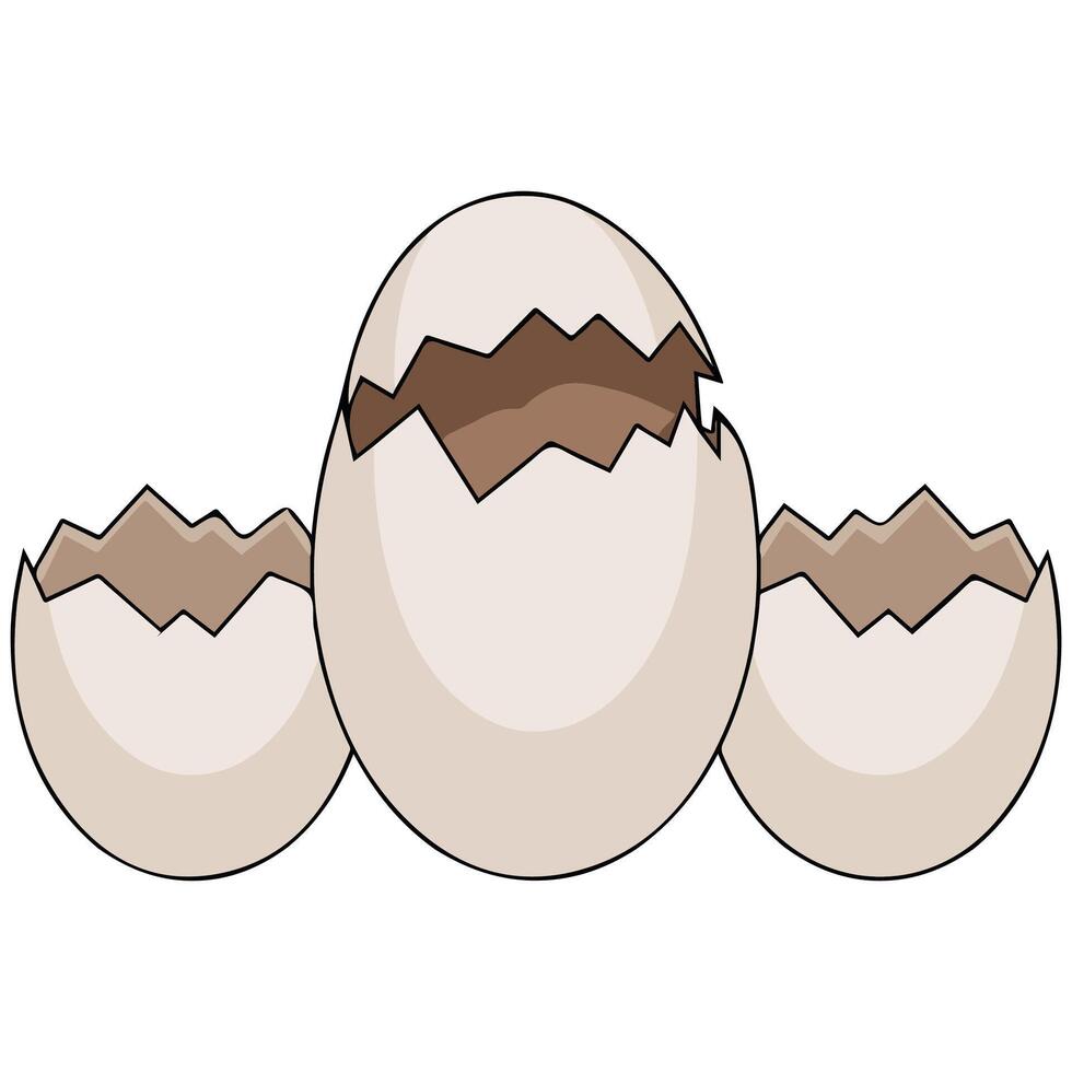 Reptile eggs half hidden in beach sand nature vector