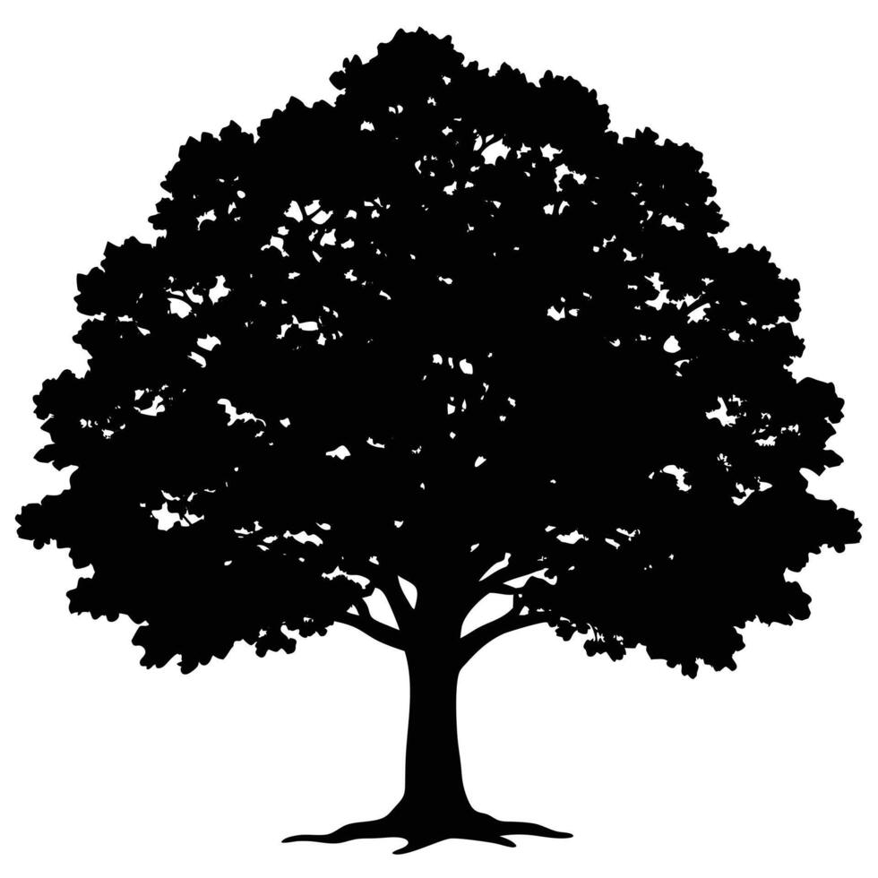 Black silhouette of a large deciduous tree with sprawling branches and visible roots white vector