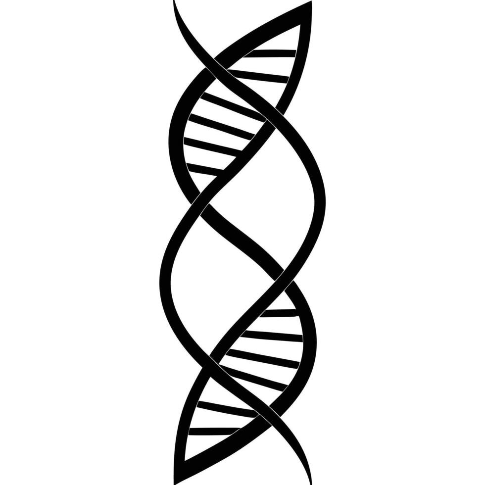 Black double helix elegant curves scientific structure science biology vector