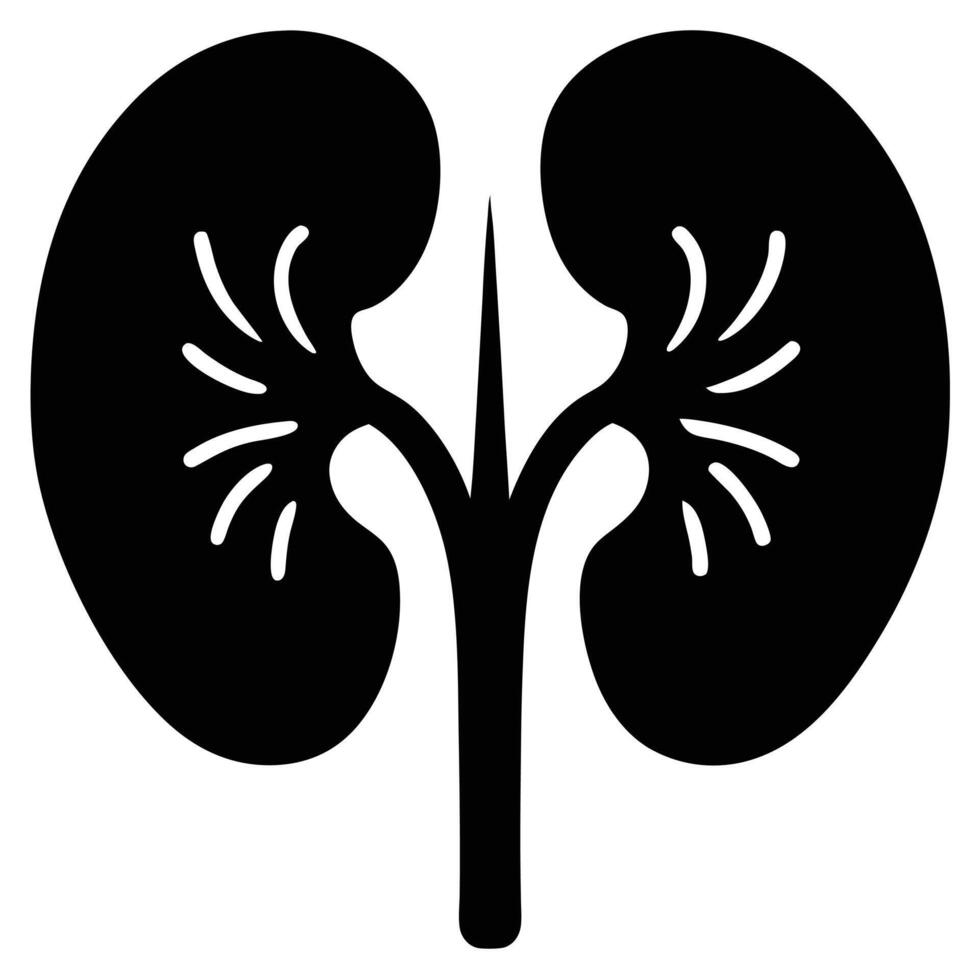 Black illustration of detailed kidneys internal organ anatomy vector