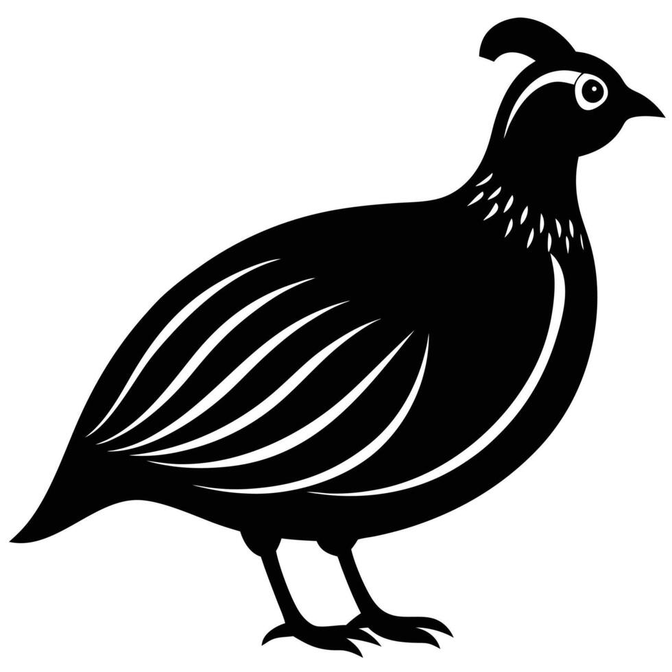 Stylized black quail with white accents bird black and white vector