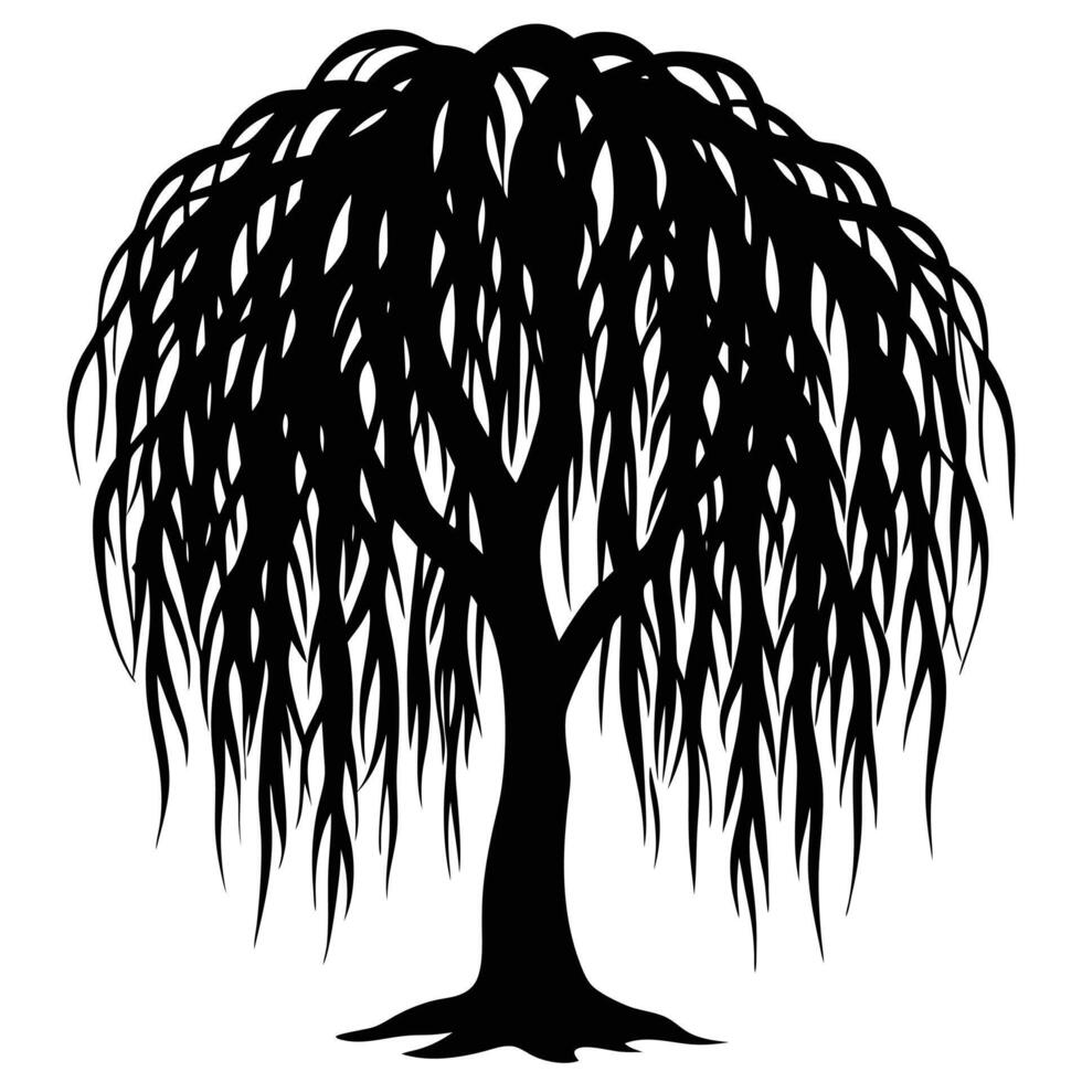 Black silhouette of a weeping willow tree with flowing branches white vector