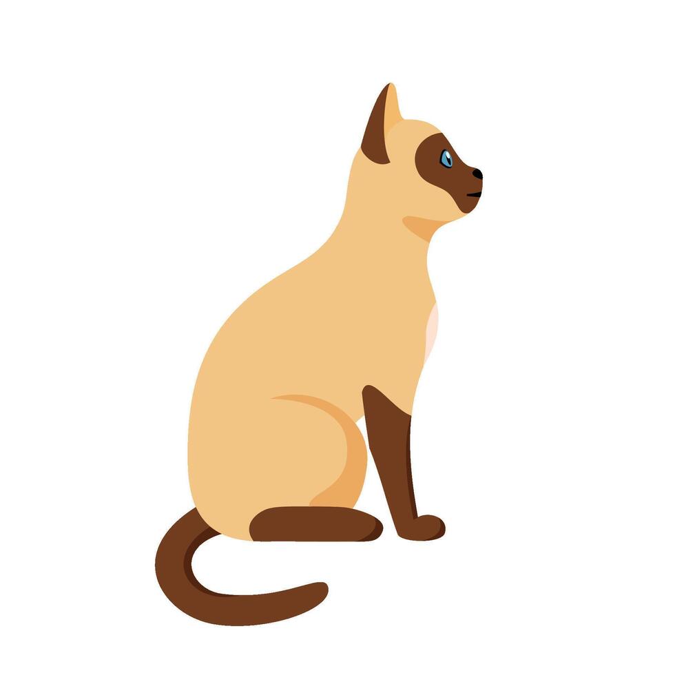 Siamese cat sitting in profile. Cute thai domestic cat. Illustration in flat style. vector