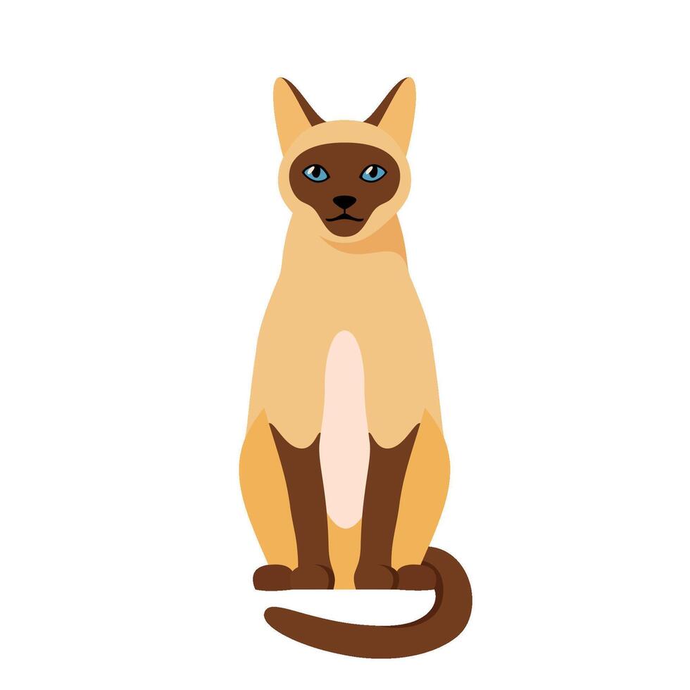 Siamese cat sitting in profile. Cute thai domestic cat vector