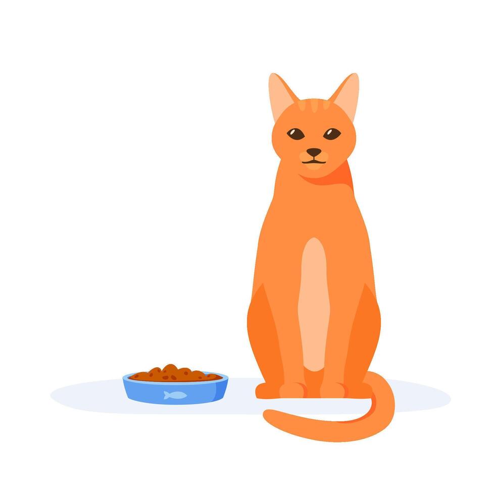 Pet does not eat food in bowl. Red domestic cat being selective and persnickety. Pet not eating kibble or wet food. Feeding pet problem. vector