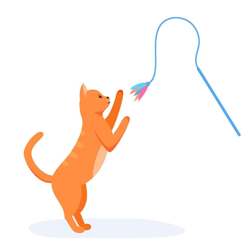 Red domestic cat playing with feather toy wand. Game activity for indoor pet. Cat supplies and accessories. Flat style vector