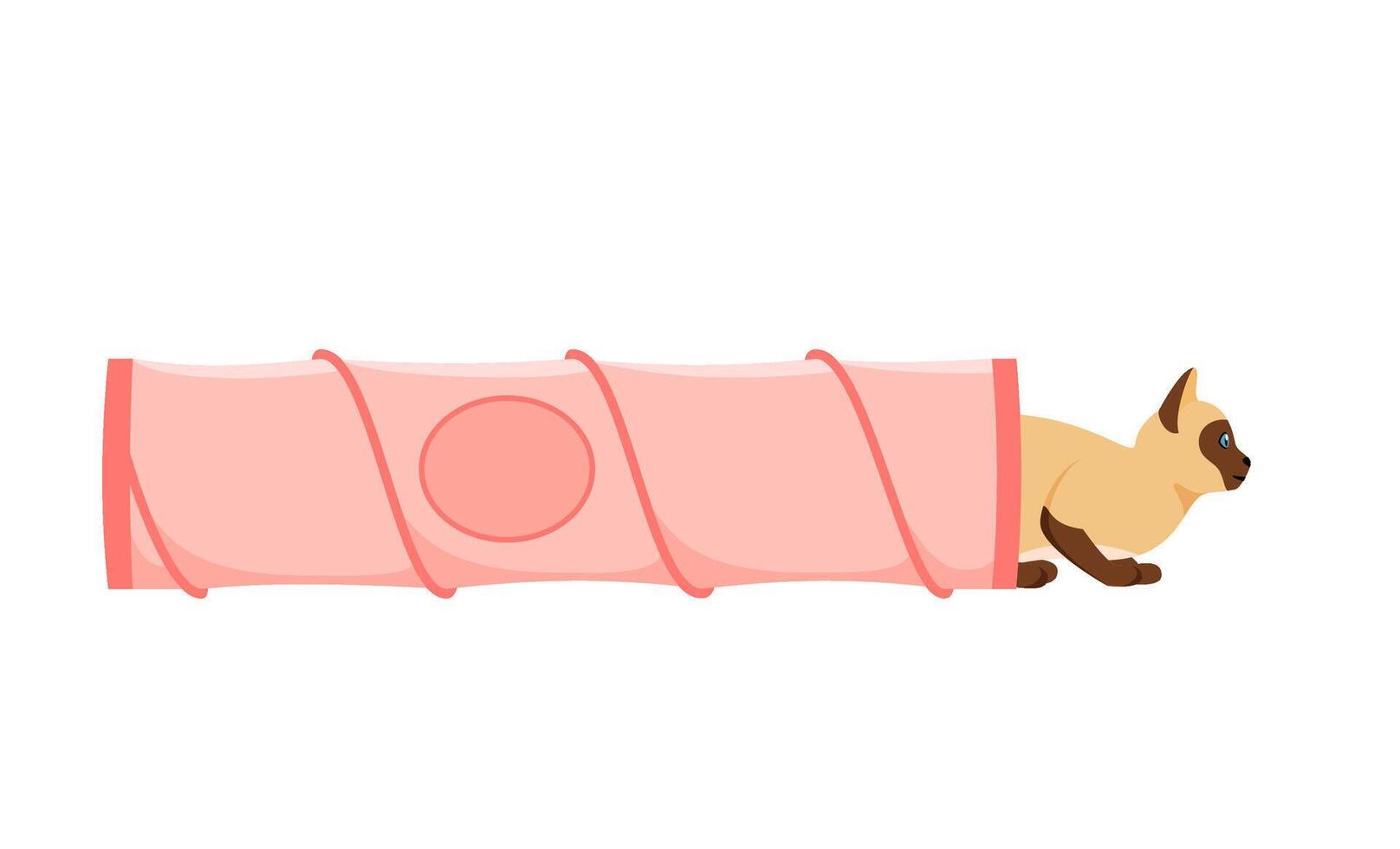 Cat tunnel. Cute siamese cat in collapsible toy tube. Hiding and resting place for indoor pet. Flat style vector
