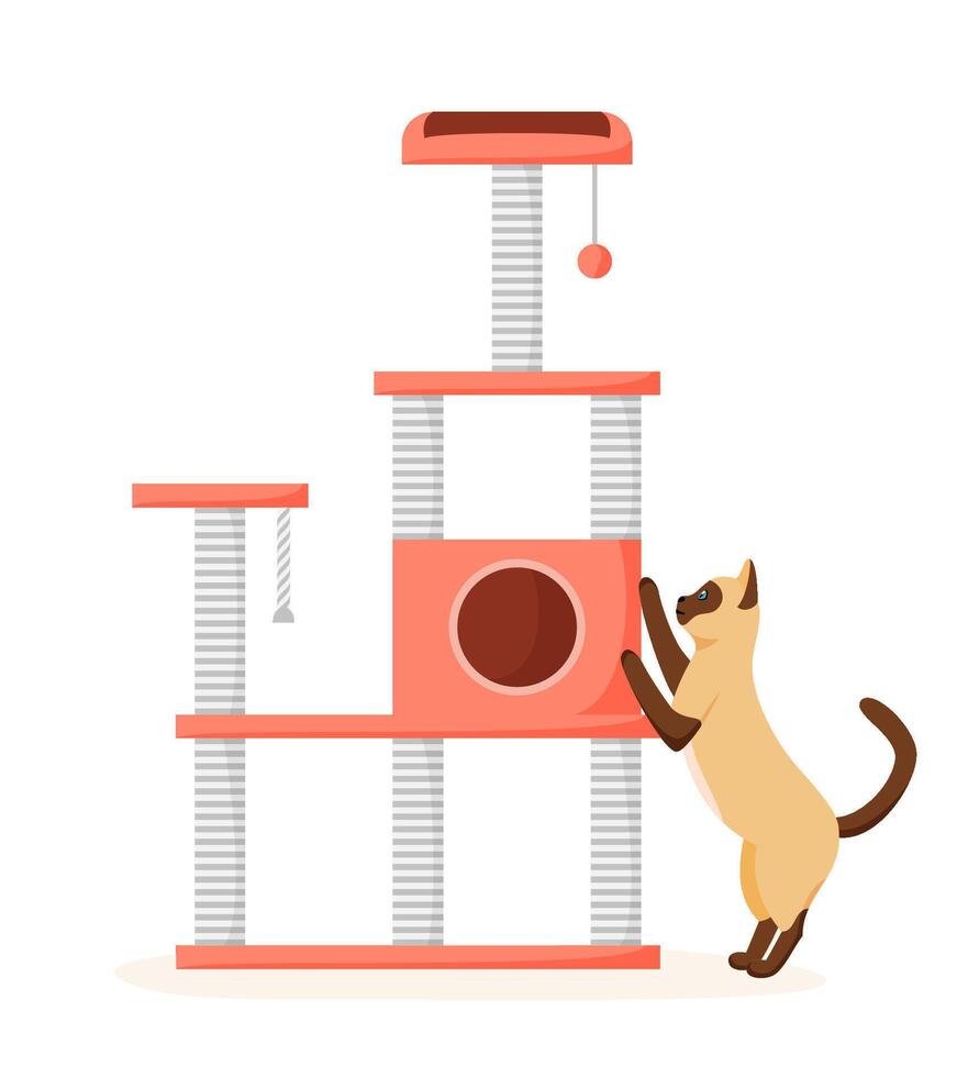 Cat tree with scratching posts. Siamese cat sharpens claws on cat tower. Cat playground and house. vector