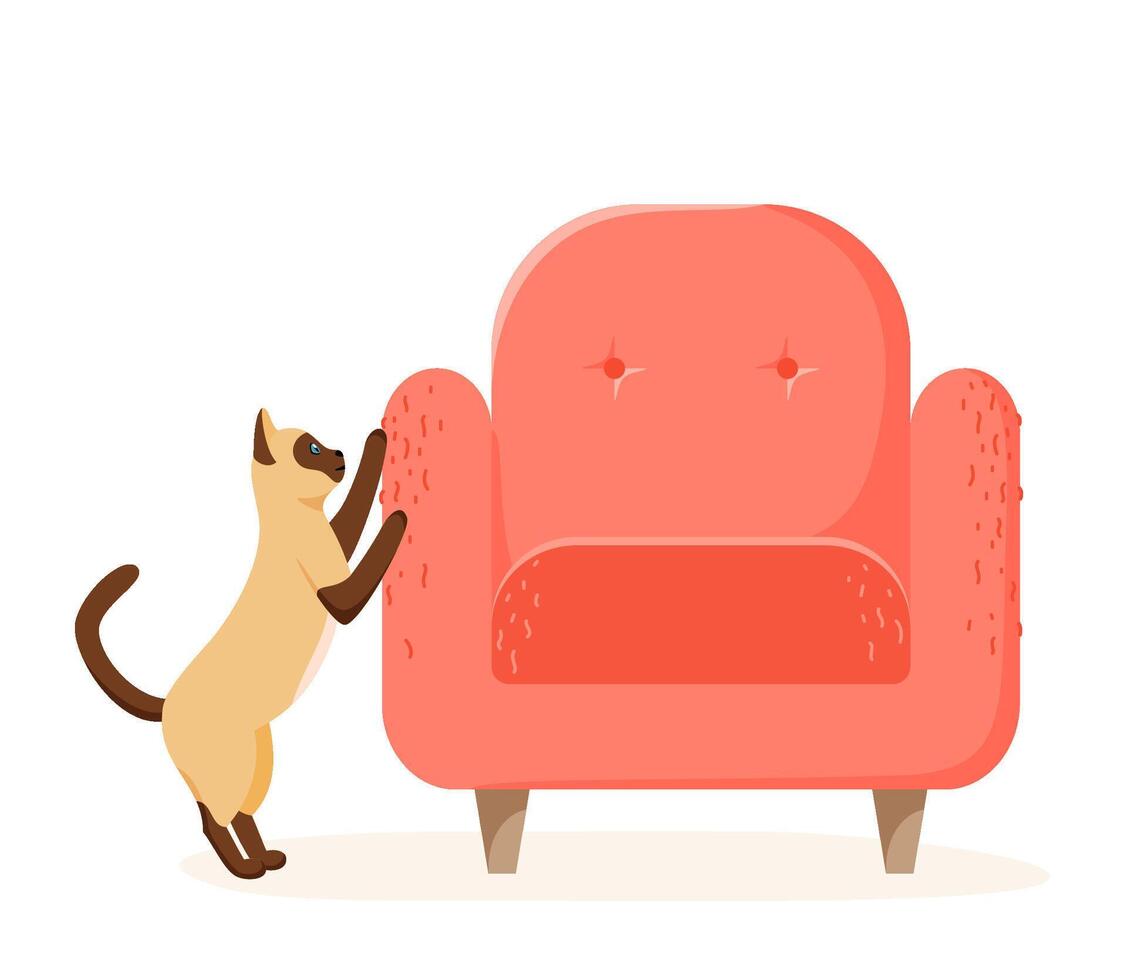 Siamese cat scratching chair. Nasty kitten destroying home furniture with claws. Bad behaved pet tearing sofa. Flat style vector