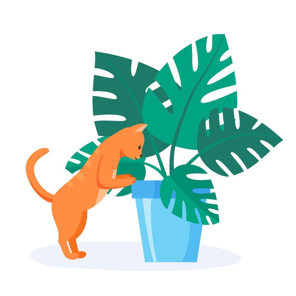 Naughty red cat trying to eat home plant. Badly behaved pet destroying house plant. Domestic animal looking into flower pot. Flat style vector