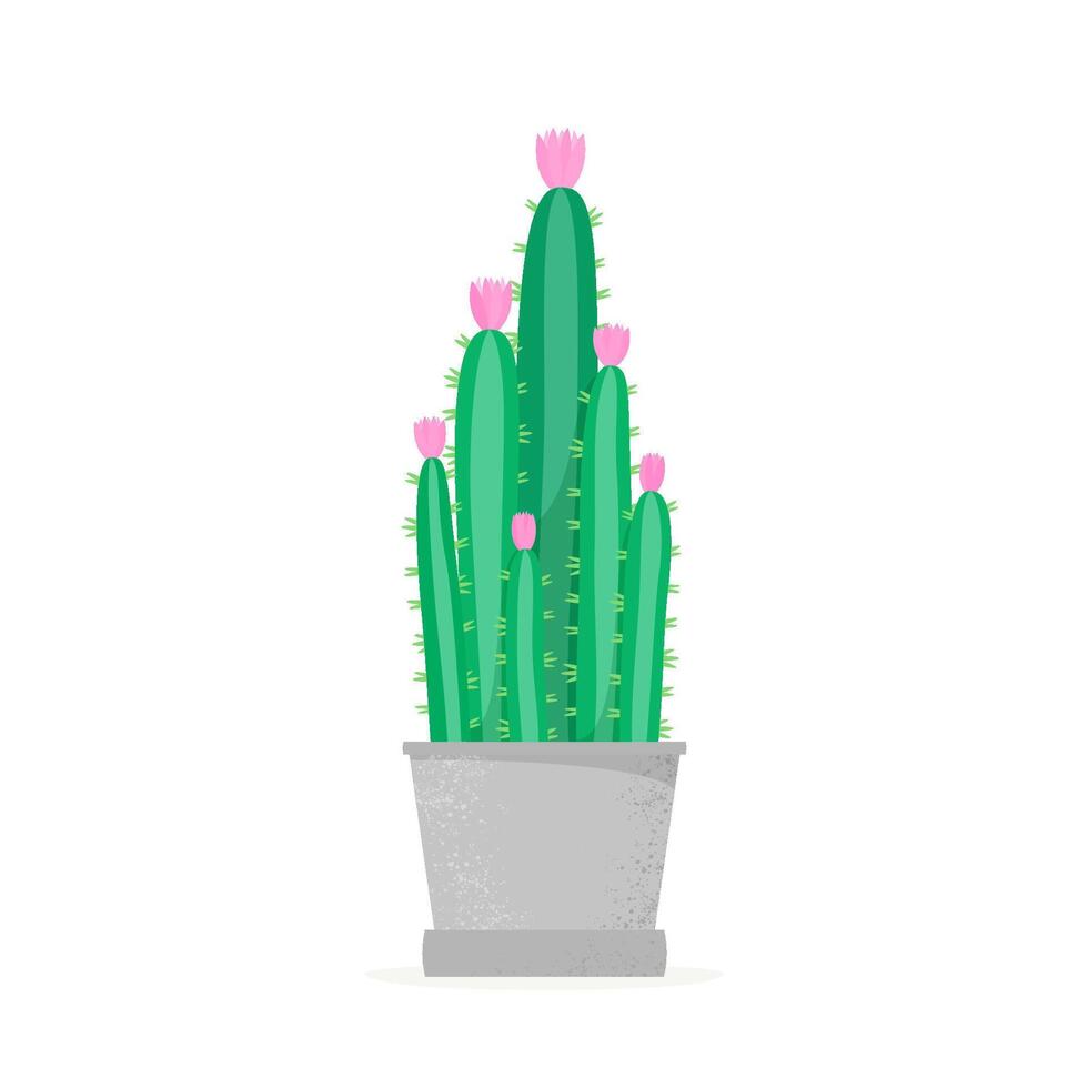 Flowering cactus. Blossomed house succulent in pot vector