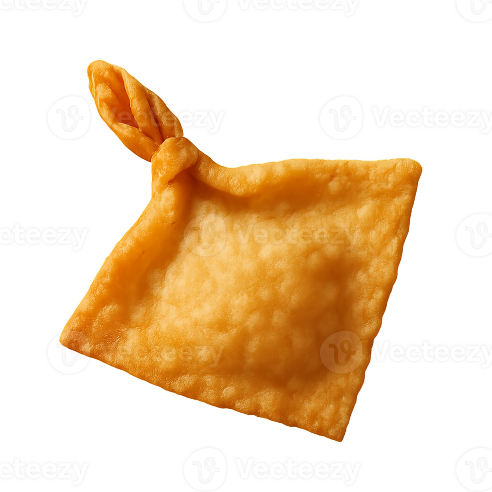 Simple 3D Fried Wonton with Knotted Edge for Culinary Presentation png