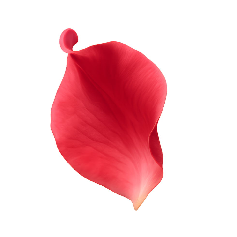 Elegant Red Rose Petal Floating on a Soft Background png