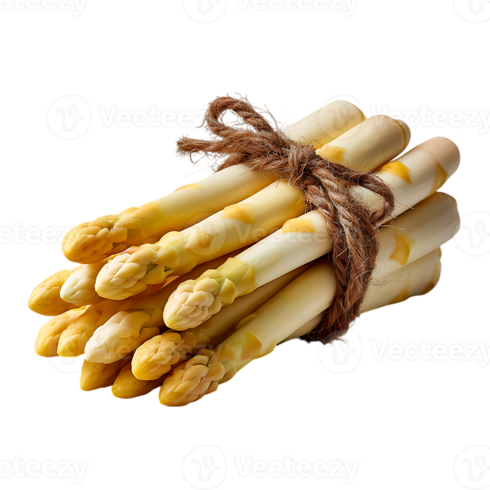 A bunch of fresh white asparagus tied with twine isolated on transparent background png