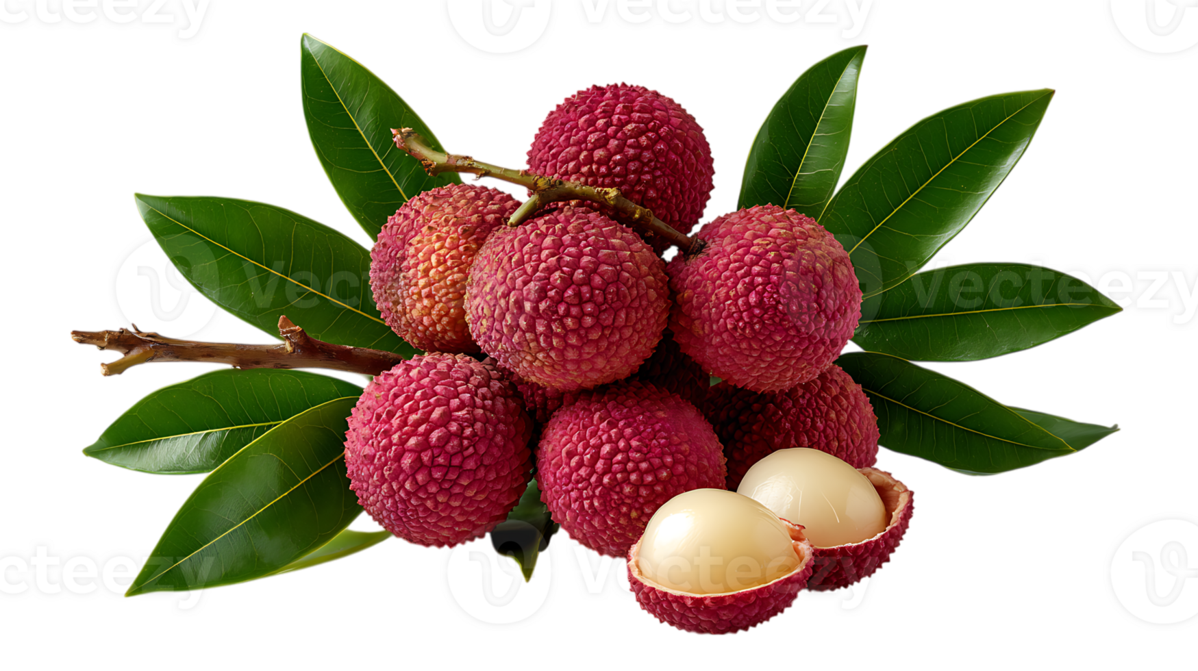 Fresh lychee fruit cluster with green leaves and one peeled fruit isolated on transparent background png