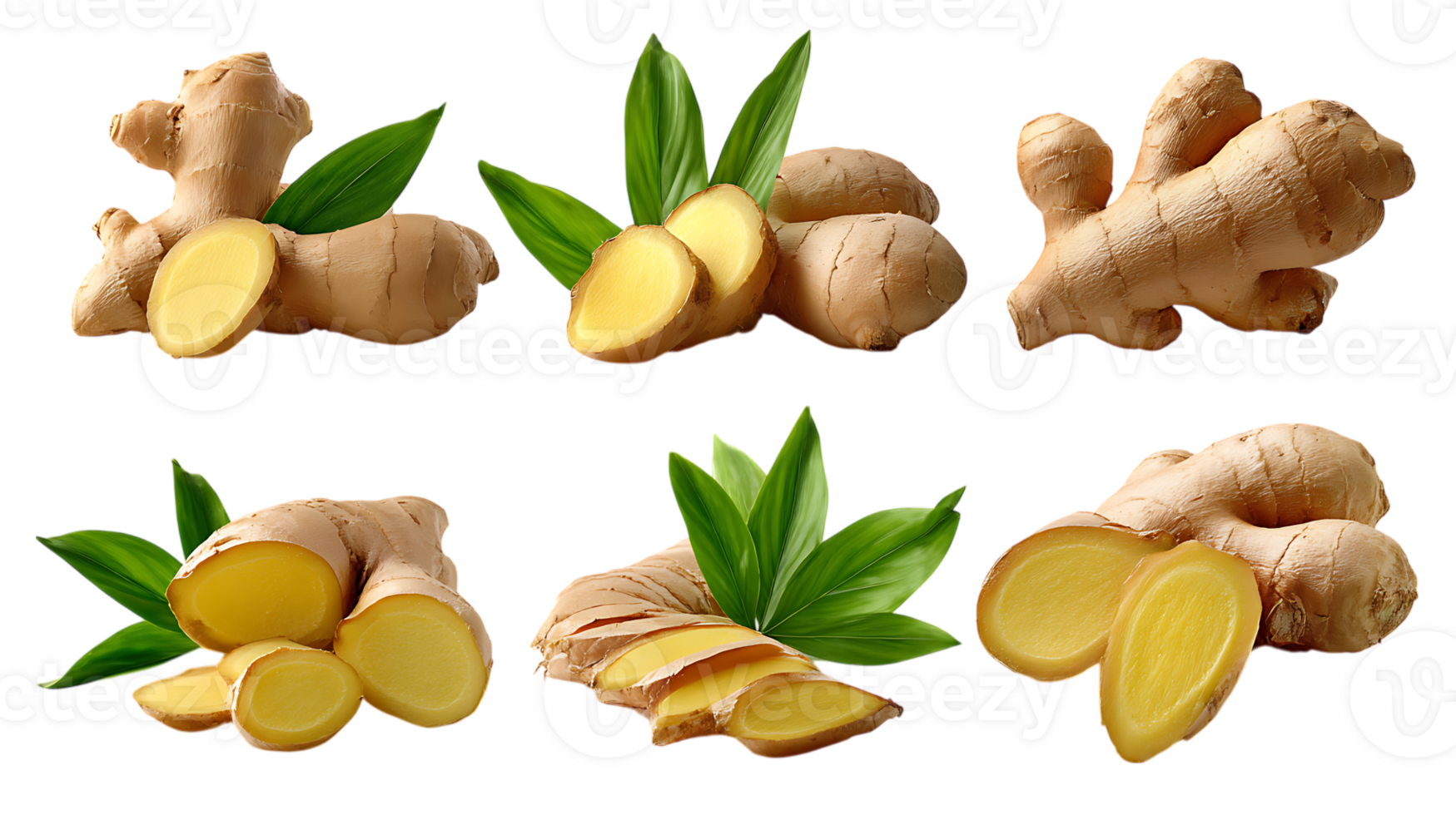 Fresh ginger root and slices with green leaves on transparent background png
