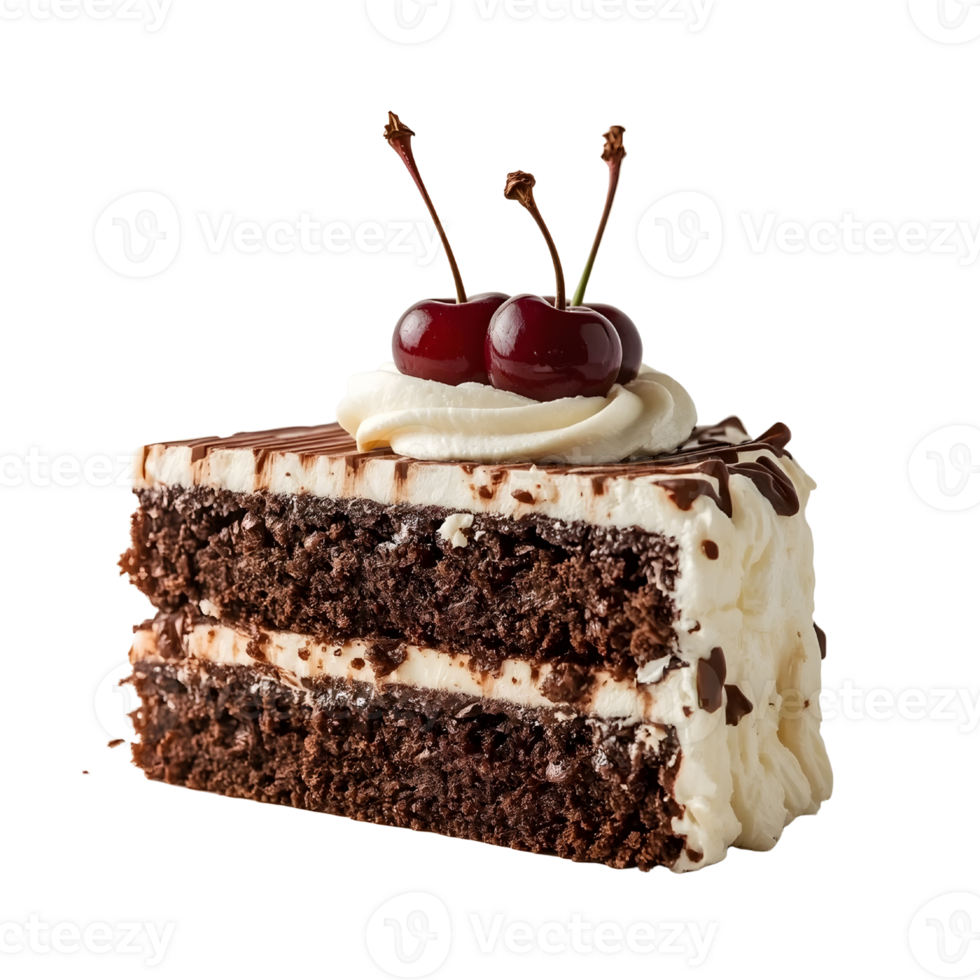 Chocolate cake slice with cherries isolated on transparent background png