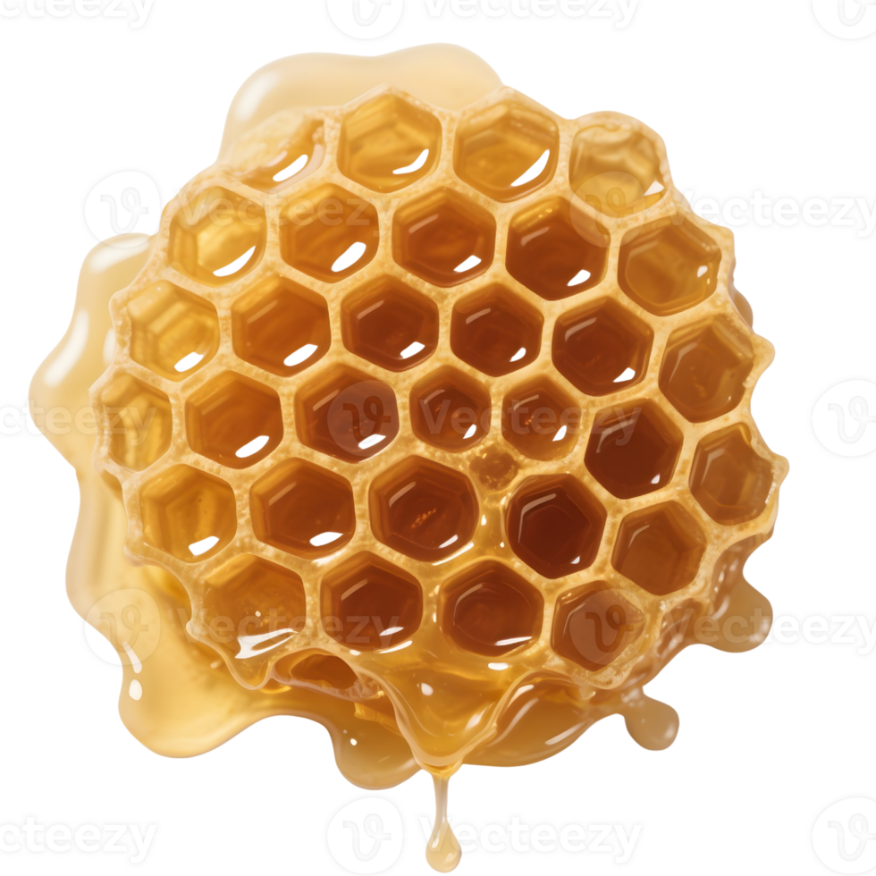 Golden honeycomb dripping with honey isolated on transparent background png