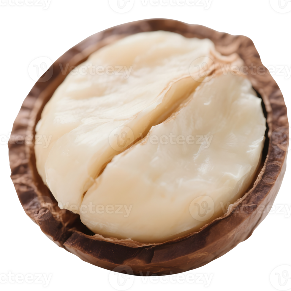 Open macadamia nut isolated on transparent background png