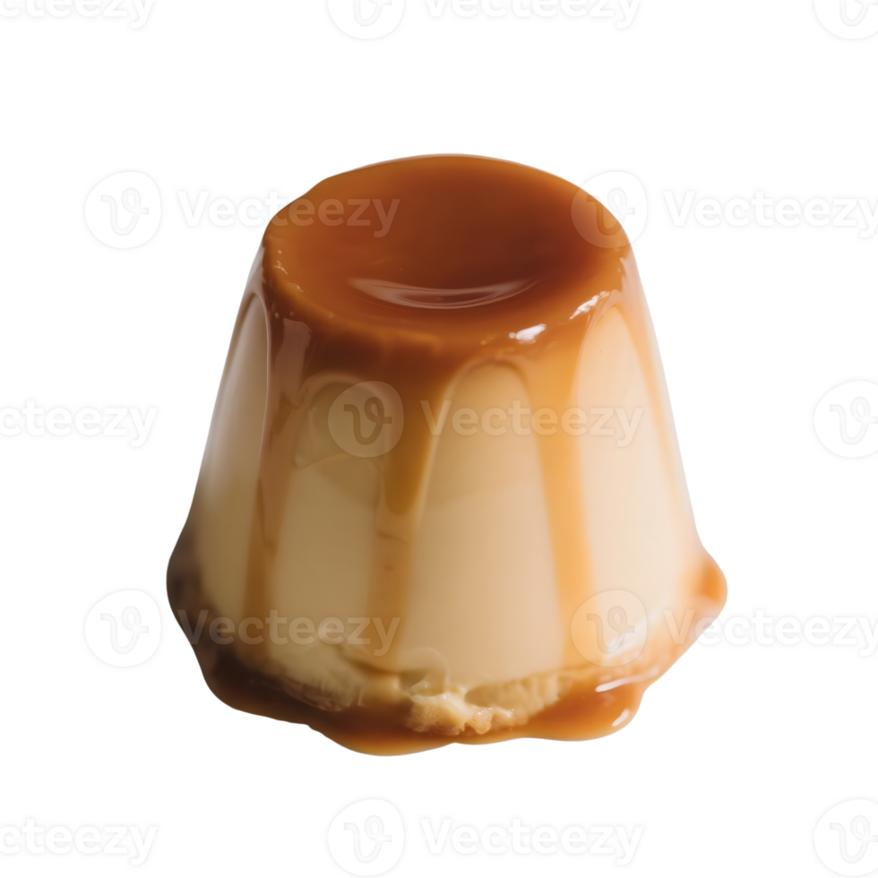 A creamy caramel pudding isolated on transparent background png