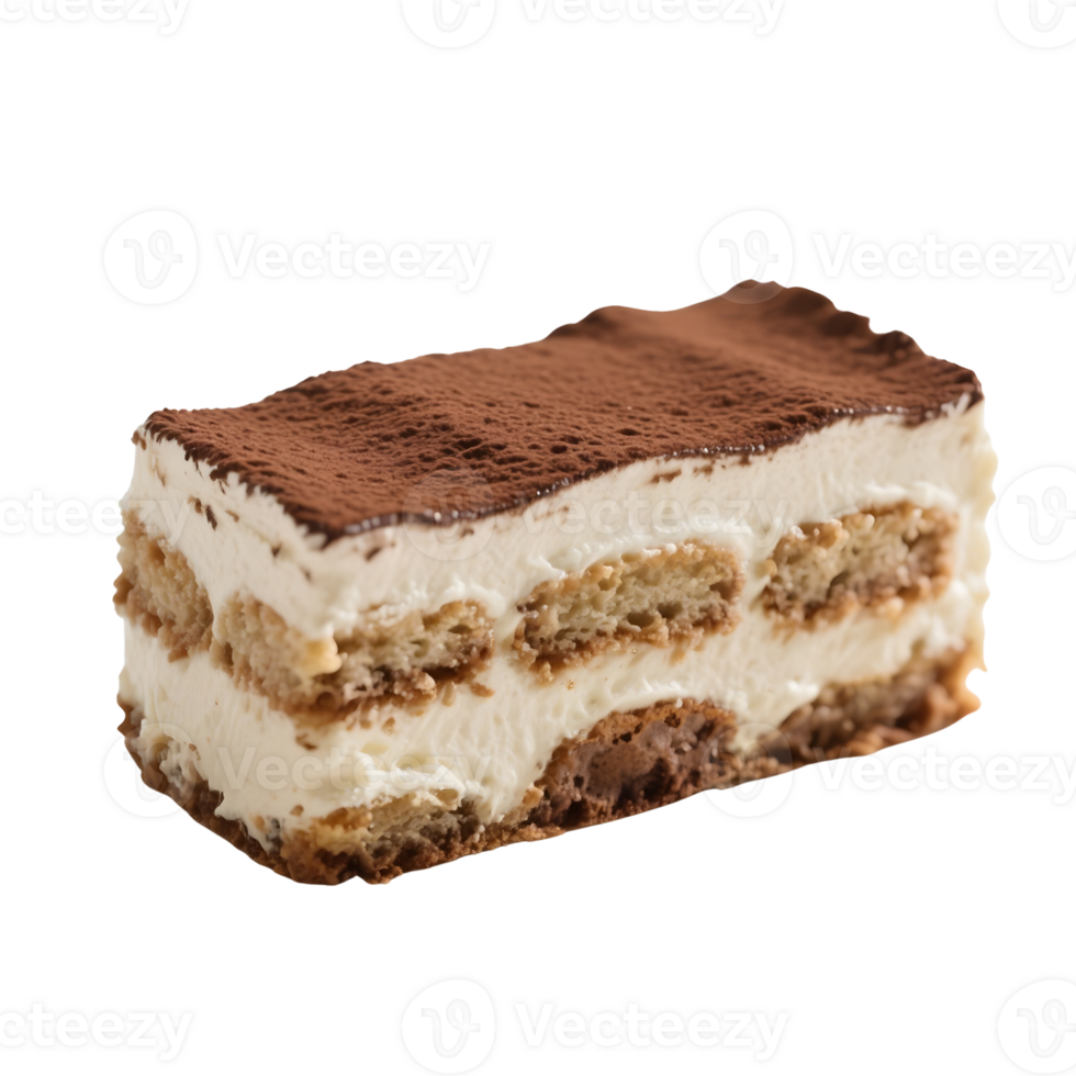 Delicious tiramisu dessert isolated on transparent background png