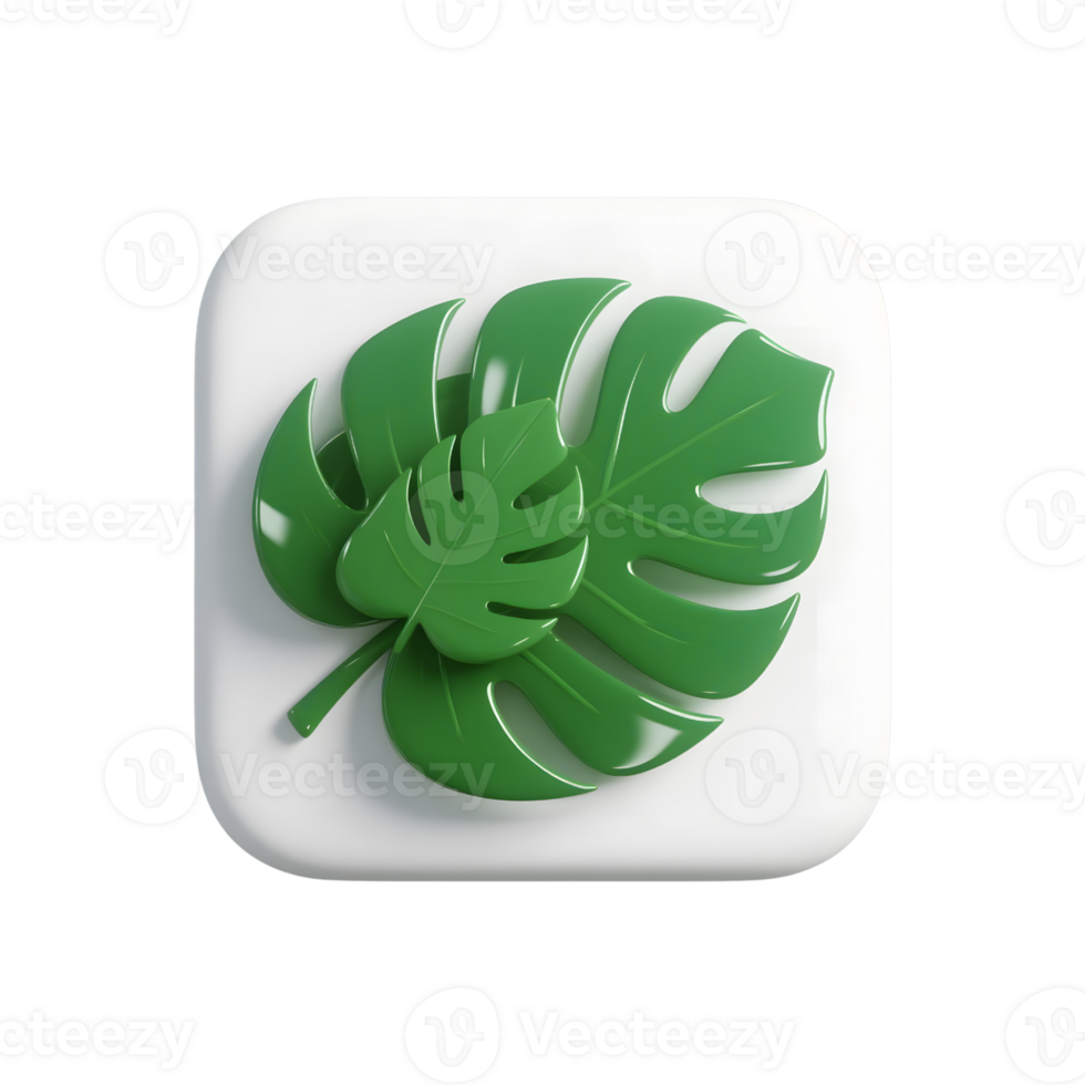 Monstera leaves isolated on transparent background in green 3d rendering png