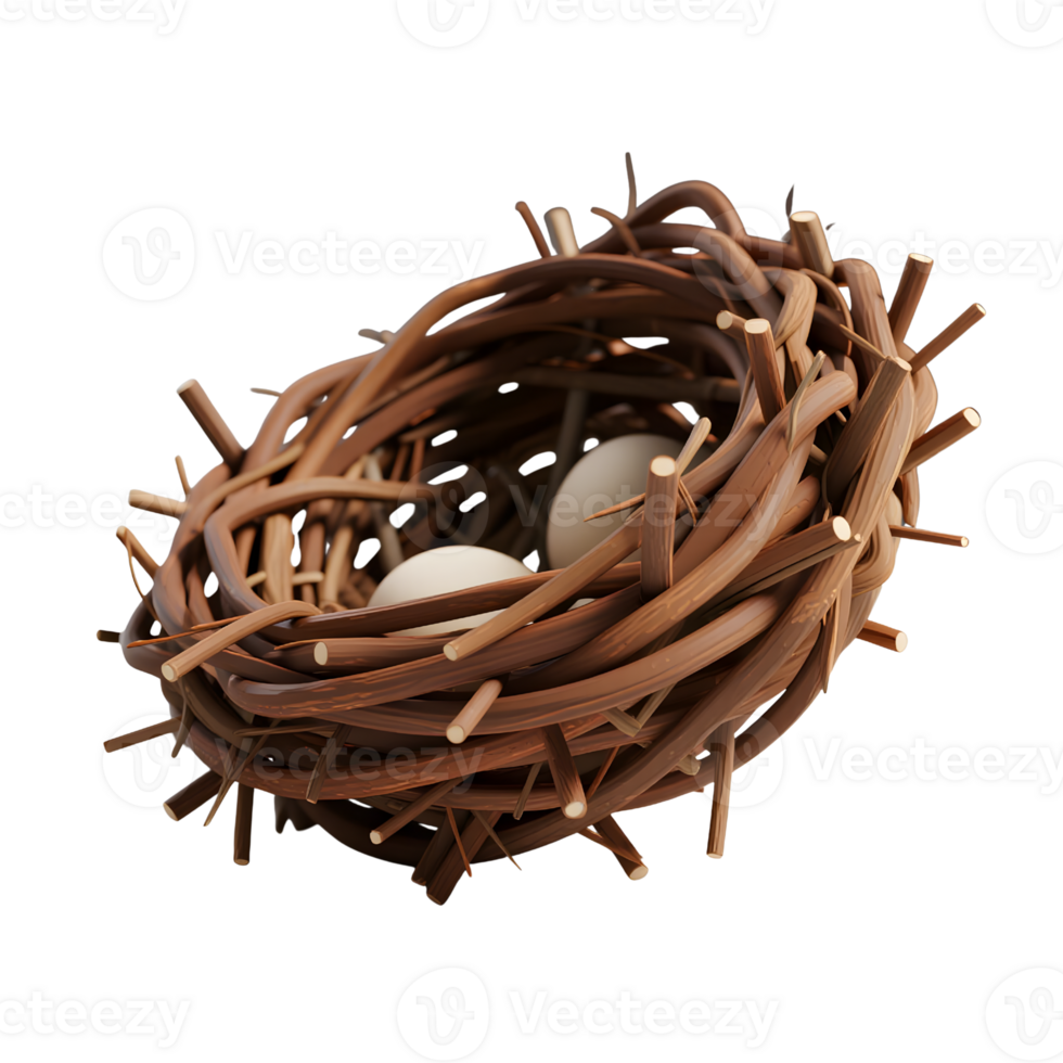 Bird nest with eggs isolated on transparent background png
