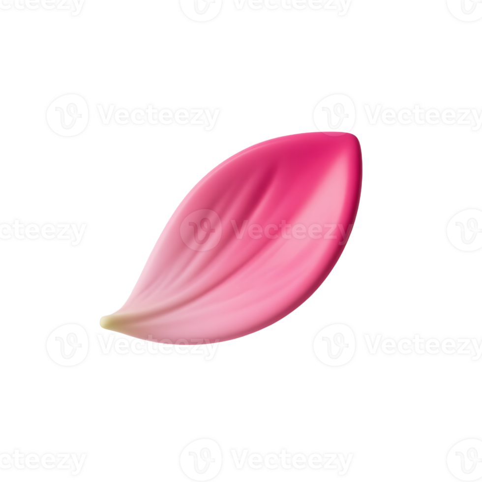 A single pink flower petal isolated on transparent background png