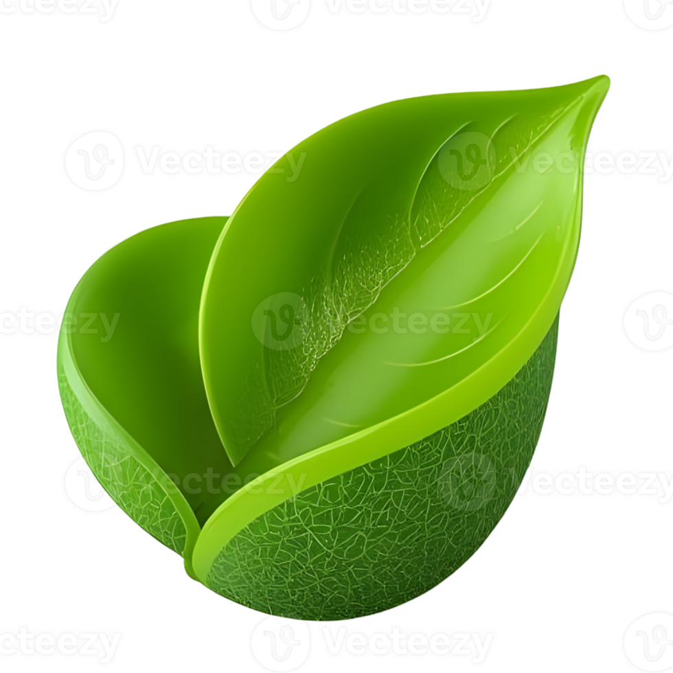 Two vibrant green leaves are isolated on transparent background png