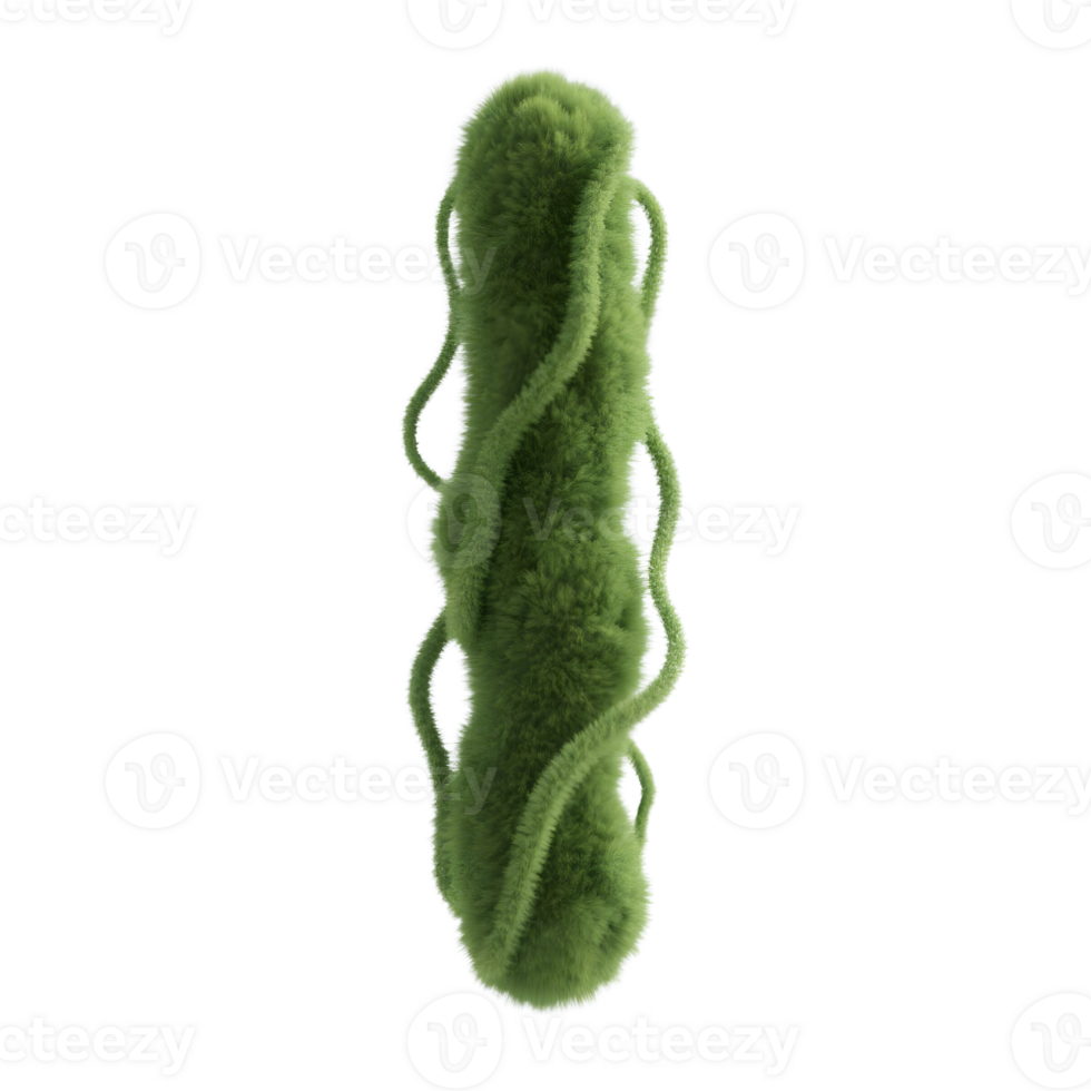A fuzzy green vine isolated on transparent background png