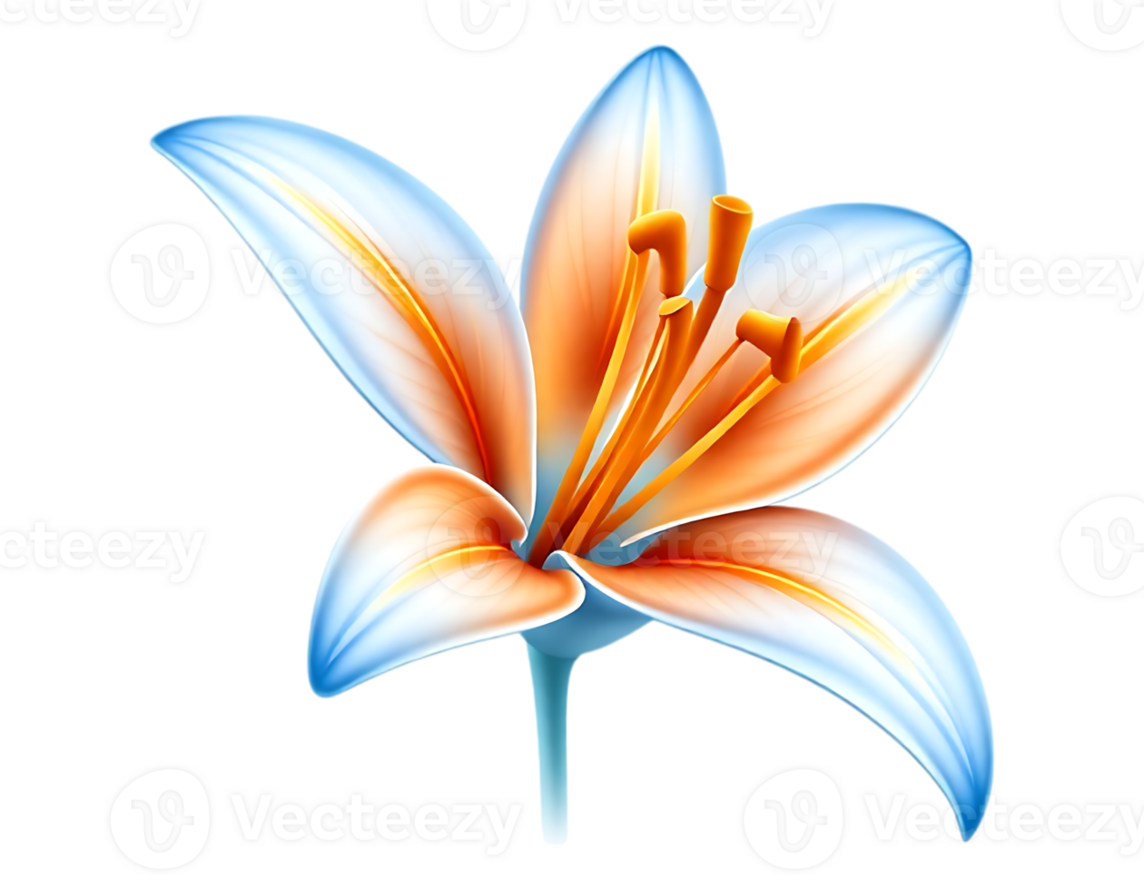 Vibrant Realistic Lily Bloom with Transparent Petals png