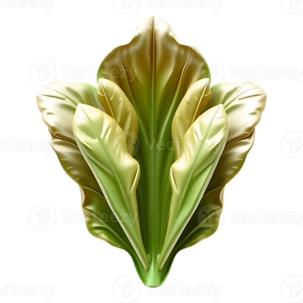 3D rendered leaves in gradient color with transparent background. png