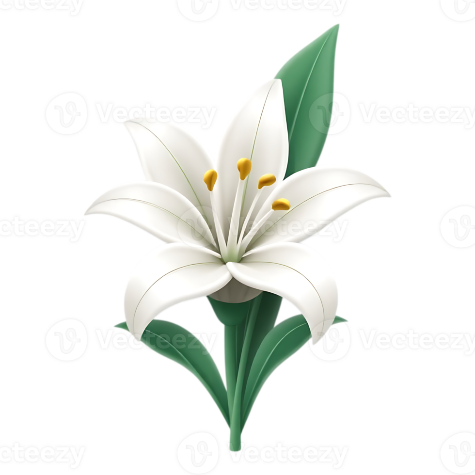 Elegant White Lily with Green Leaves on Transparent Background png