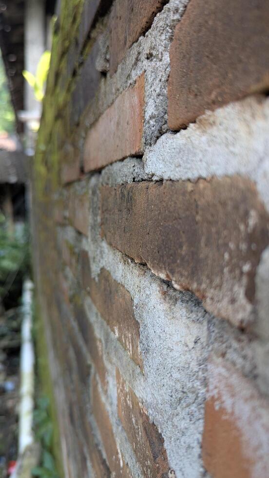 Weathered Brick Wall Perspective Texture, Detail and Architectural Element photo