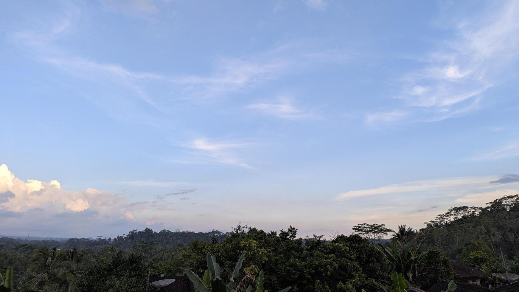 Beautiful panoramic view of the forest under a clear blue sky with clouds photo